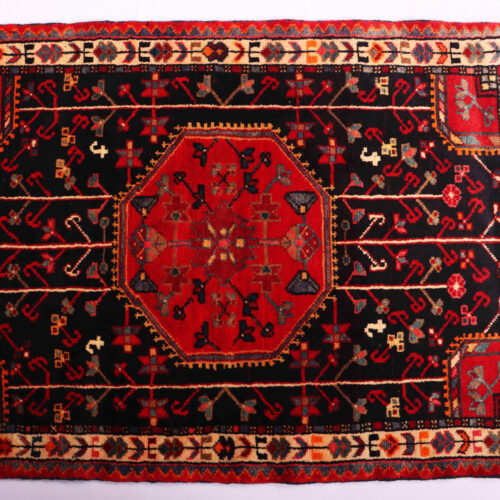 Tuserkan Persian Rug