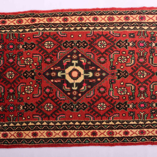 Persian Hamedan Rug