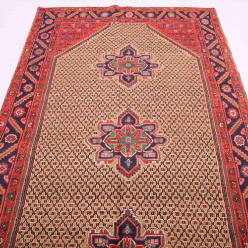 koliai rug